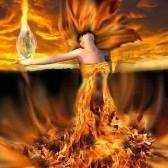 Meet your Posher, Jasmine - Picture 1 of 1